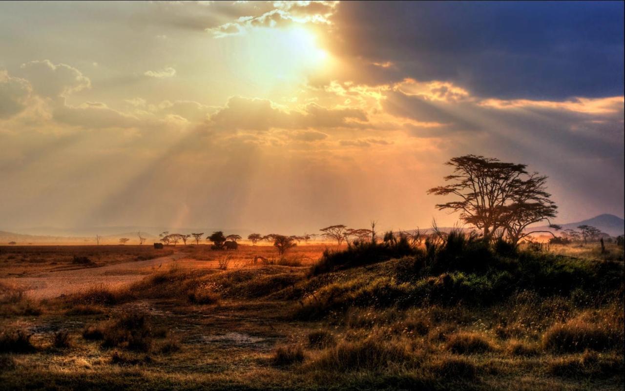 Africa Safari Maasai Boma Villa Serengeti Exterior photo